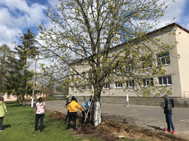 У селі Світязь вчителька хімії створює дендропарк. ФОТО