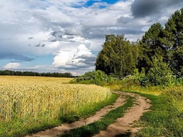 Погода у Луцьку та на Волині на 18 липня
