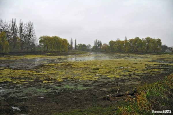 Як чистять ставки в Теремно. ФОТО