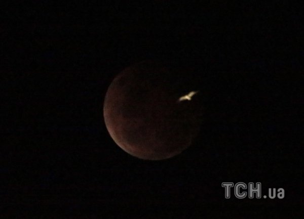 Земляни побачили  «кривавий місяць». ФОТО