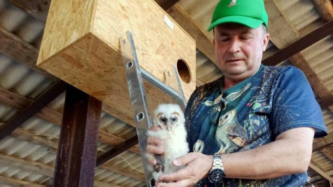 На Волині вперше за 100 років зафіксували гніздування рідкісного птаха