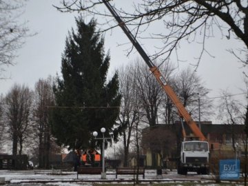 Головна ялинка Нововолинська – заввишки з 5-поверхівку