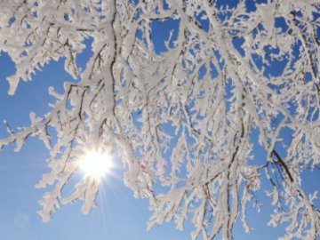 Погода в Луцьку та Волинській області на вихідні, 13 і 14 січня