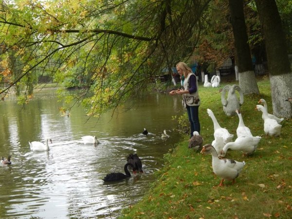 Як дружать жителі Луцького зоопарку. ФОТО