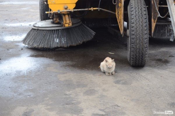 До Луцька їдуть ще два вагони солі. ФОТО