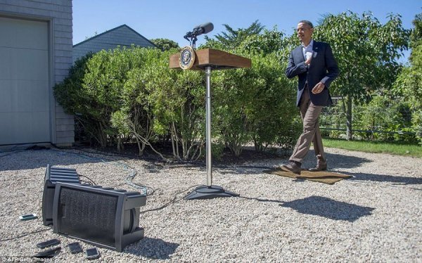 В потрібному місці і в потрібний час: вдалі кадри. ФОТО