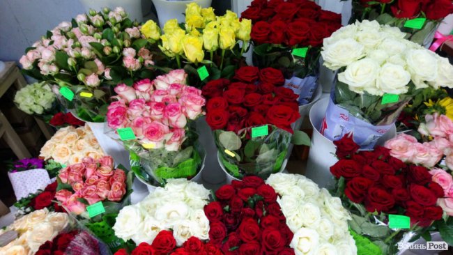 «Квітковий бум» на перший дзвоник: ціни в Луцьку. ФОТО
