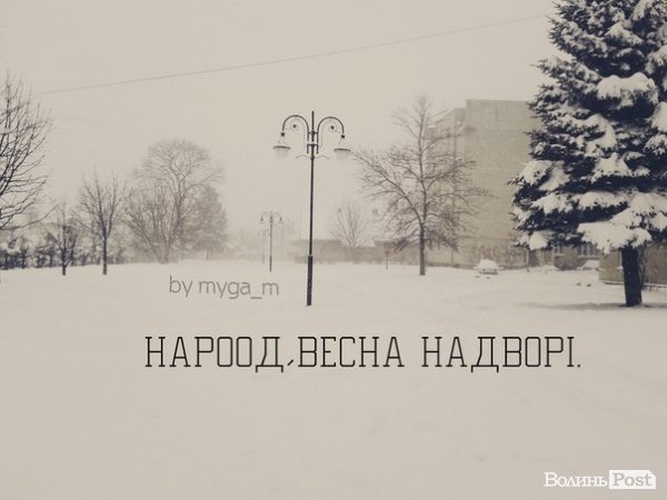 «Де весна???» Інтернет жартує над погодою 