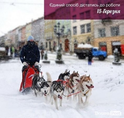 «Де весна???» Інтернет жартує над погодою 