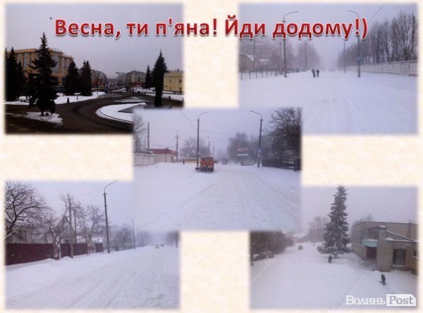 «Де весна???» Інтернет жартує над погодою 