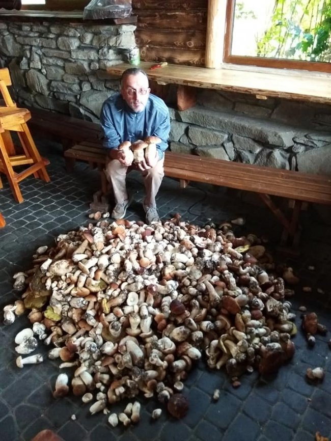 Волинський музикант назбирав гори грибів. ФОТО