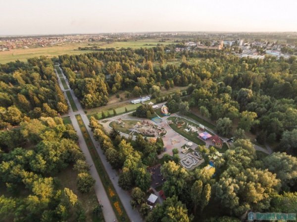 Стало (вирізання довоєнних великих тополь, вирубка Пташиного гаю і загалом зменшення концентрації дерев)