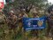 Українські військові показали відео зі звільненої Макарівки на Донеччині