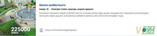 Бруківка та «УЗІ» для песиків: за які проекти лучан проголосували найбільше