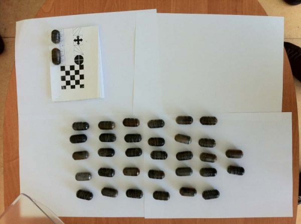 У Луцьку знищили два кілограми наркотиків. ФОТО