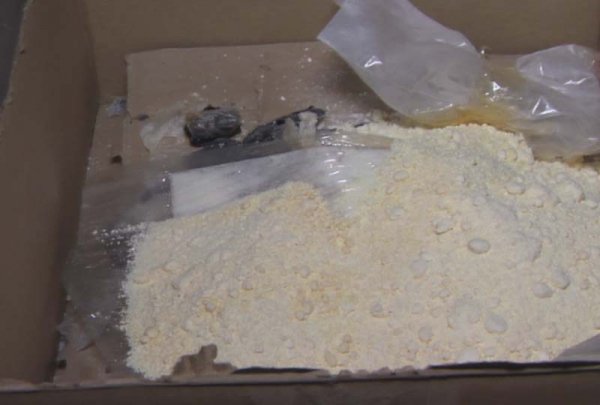 У Луцьку знищили два кілограми наркотиків. ФОТО