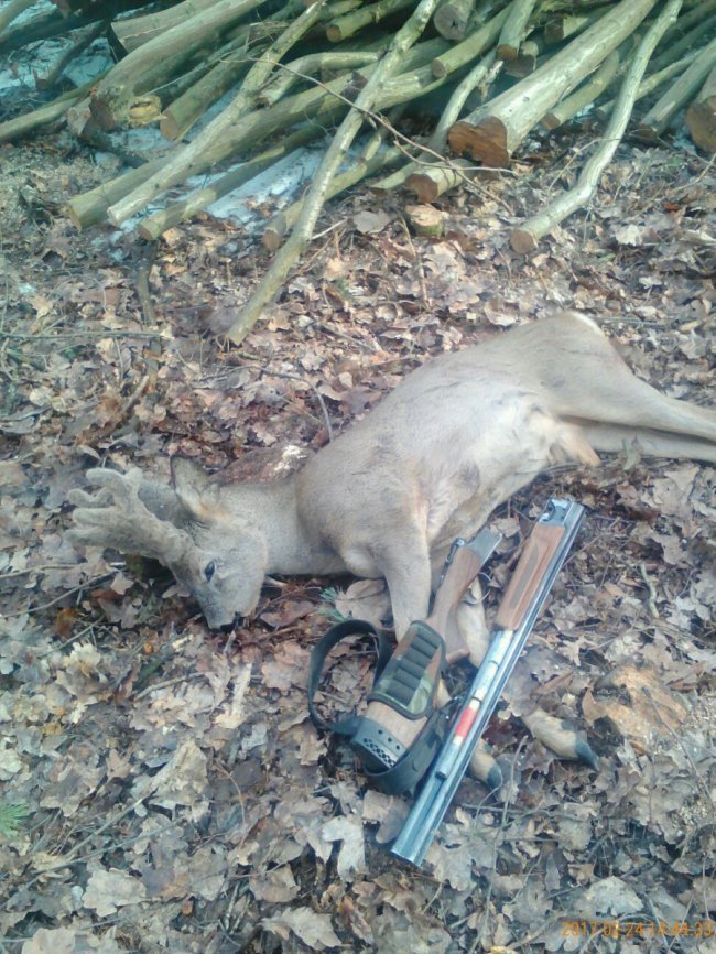 Волинського браконьєра покарали на місці