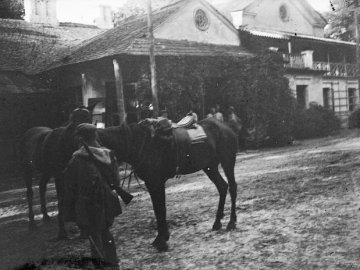 Помістя волинських Велицька та Любитова на фото 1916 року
