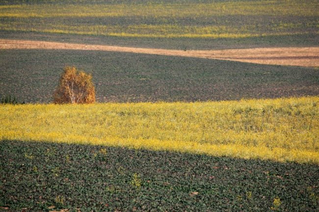 Осінні пейзажі Волинської височини: неймовірні фото