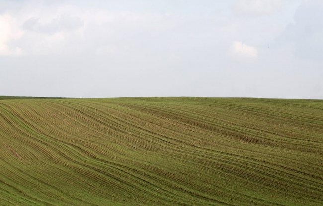 Осінні пейзажі Волинської височини: неймовірні фото