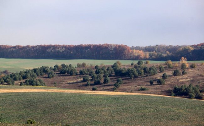 Осінні пейзажі Волинської височини: неймовірні фото