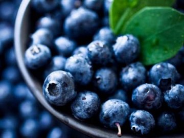 Чорниця, вишня, смородина: на Волині - пік ягідного  сезону. ВІДЕО