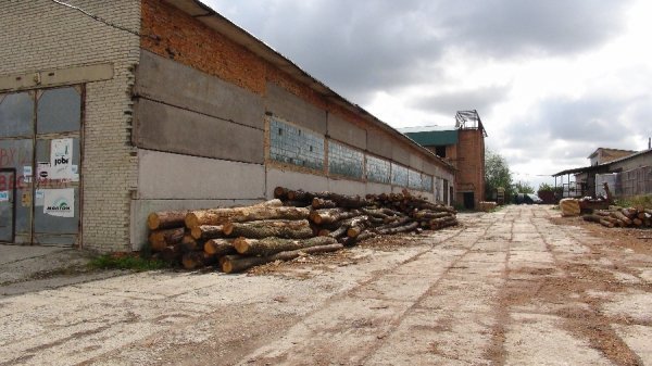На Волині викрили цех з підпільної обробки бурштину. ФОТО