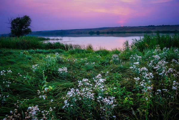 Фотовиставка Олександра Калініна