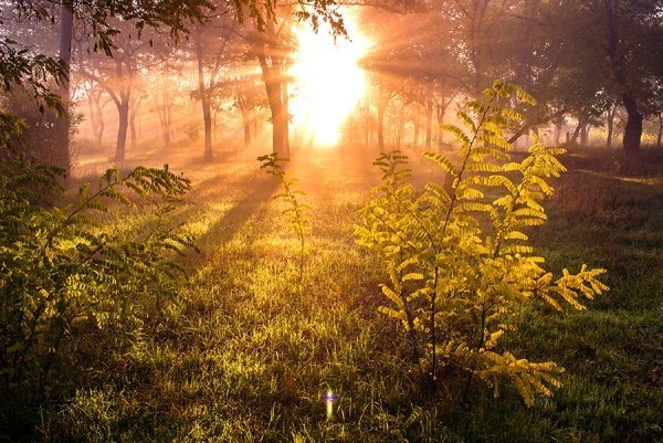 Фотовиставка Олександра Калініна