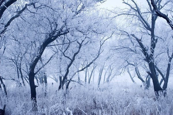 Фотовиставка Олександра Калініна