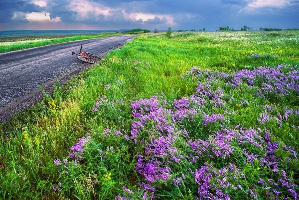 Фотовиставка Олександра Калініна