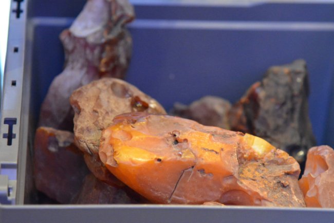 На аукціоні за волинський бурштин вторгували понад 3,5 мільйона гривень 