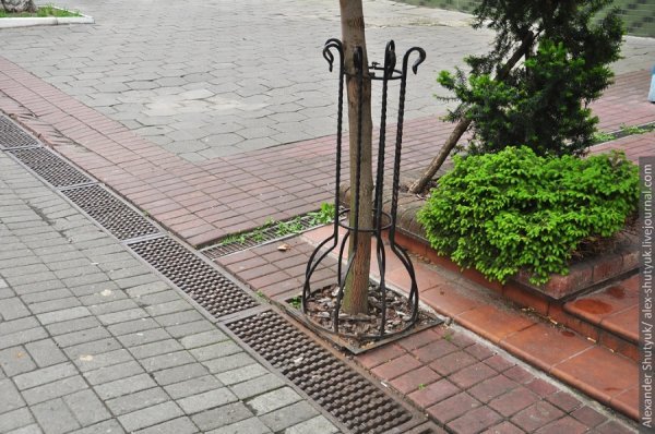 Луцьк - погляд зі сторони. ФОТО