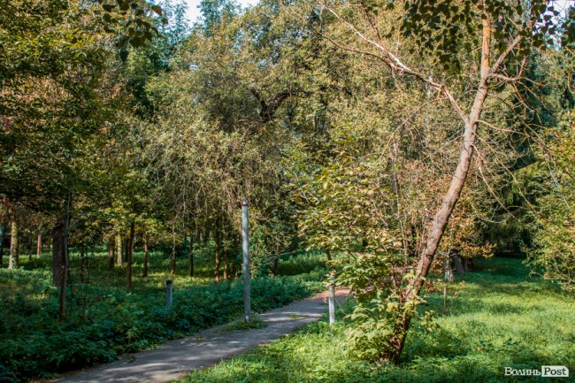 Бабине літо у Луцьку. ФОТО