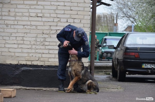 Ще одна вправа - знайти по запаху річ