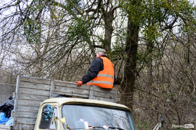У джинсах та рукавичках: як Савченко зі студентами збирав сміття. ФОТО