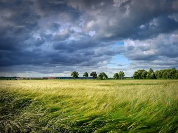 Погода в Луцьку на 19 червня