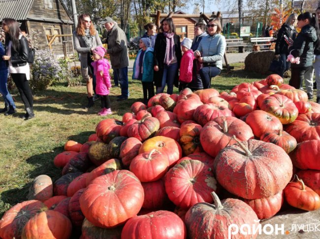 Як у луцькому звіринці відзначали Свято гарбуза. ФОТО