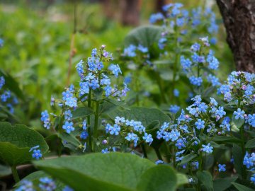 29 травня – яке сьогодні свято та що не можна робити в цей день