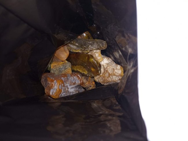 У трьох волинян вилучили понад тридцять кілограмів бурштину. ФОТО