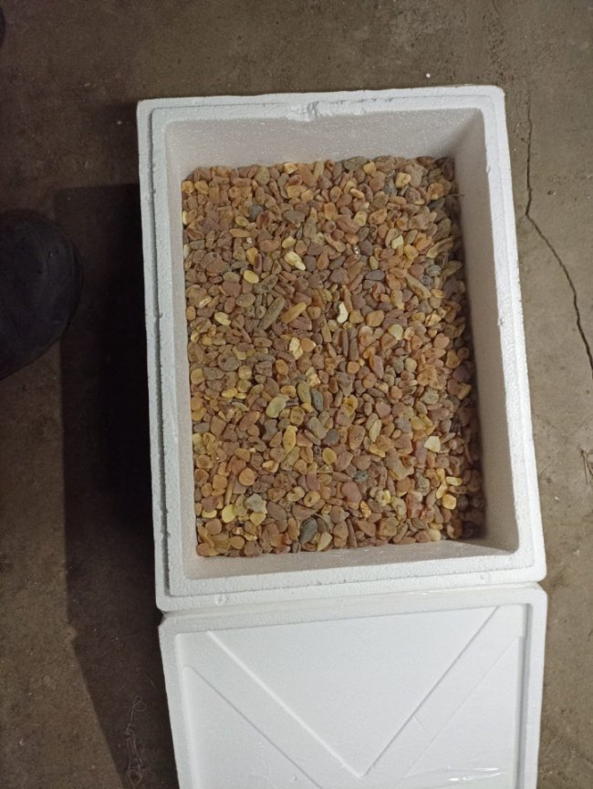 У трьох волинян вилучили понад тридцять кілограмів бурштину. ФОТО