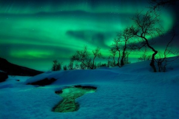7. «Зелений світ». (Arild Heitmann / Astronomy Photographer of the Year) (bigpicture.ru) 