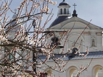 Прибиратимуть сквери, парки і водойми: у Луцьку запустили масштабну акцію «Ековесна 2020»