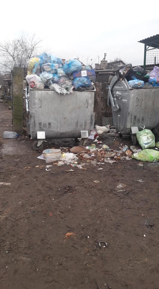 Сморід, кури і коти: у волинському селищі – гори сміття. ФОТО