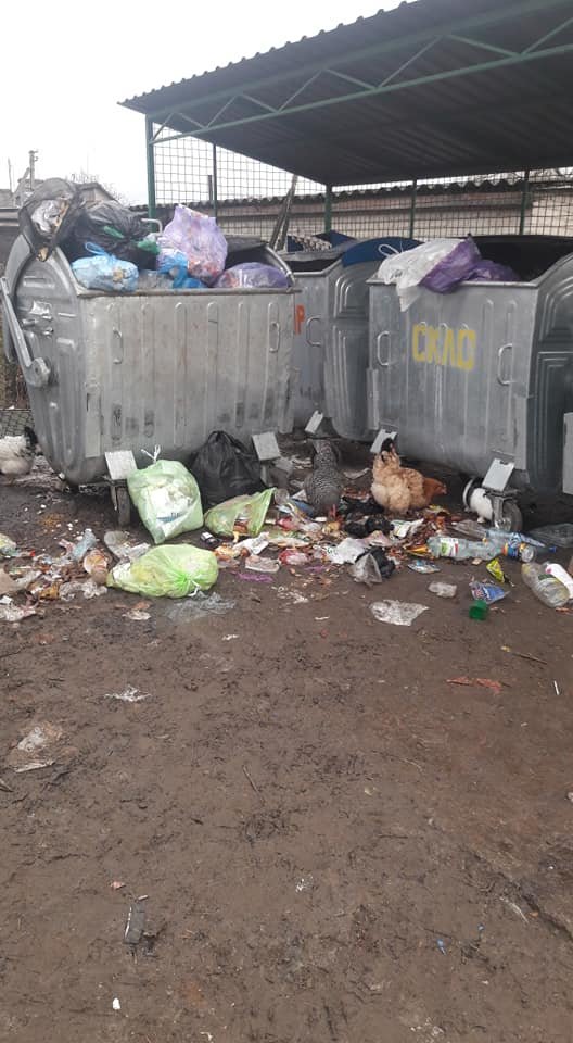 Сморід, кури і коти: у волинському селищі – гори сміття. ФОТО