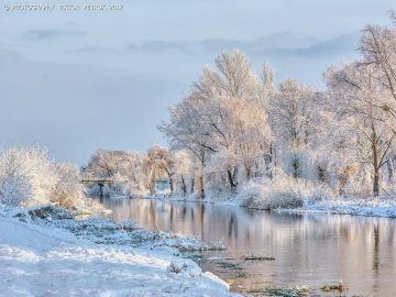 Перший подих зими в Луцьку. ФОТО