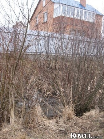 На Волині - загроза екологічної катастрофи. ФОТО