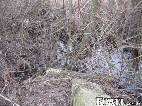 На Волині - загроза екологічної катастрофи. ФОТО