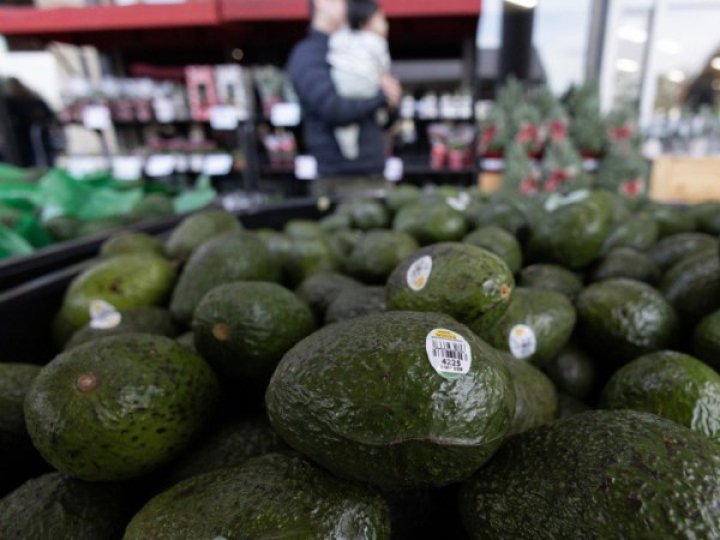 Держпродспоживслужба: інформація про появу в Україні отруйного авокадо не має офіційного підтвердження