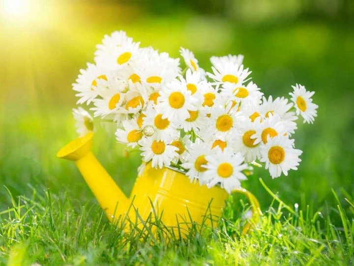 Погода в Луцьку та Волинській області на завтра, 8 червня